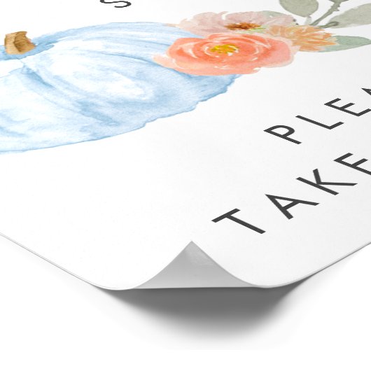 Pompoen Take a Treat Baby Boy Shower Poster (Hoek)