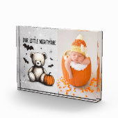 Pompoen Teddy Fotoblokken (Rechts)