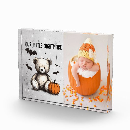 Pompoen Teddy Fotoblokken (Rechts)