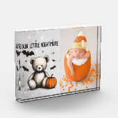 Pompoen Teddy Fotoblokken (Links)