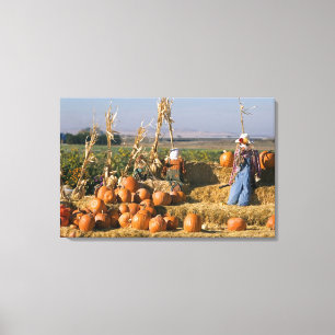 Pompoen tentoonstelling met hooibalen en vogelvers canvas afdruk