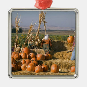 Pompoen tentoonstelling met hooibalen en vogelvers metalen ornament