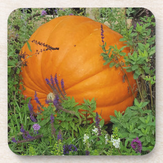 Pompoen tuin onderzetter