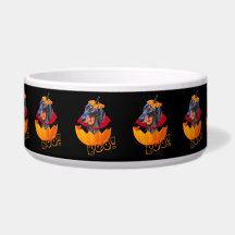 Pompoen van hondshond