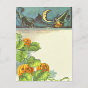Pompoen Vines Jack O Lantaarn Witch Zwart Kat Briefkaart