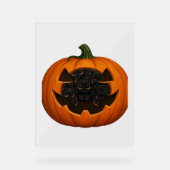 Pompoen Vol Kittens - Schattigee Zwarte Kat Hallow Acryl Bord (Voorkant)