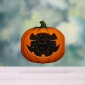 Pompoen Vol Kittens - Schattigee Zwarte Kat Hallow Acryl Bord (Neutraal)