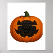 Pompoen Vol Kittens - Schattigee Zwarte Kat Hallow Poster (Voorkant)