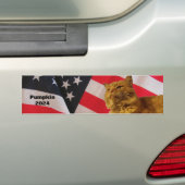 pompoen voor President met achtergrondbundel Bumpersticker (Op auto)