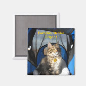 Pompoen Wandelwagen Brigade Magnet (Voorkant / Achterkant)