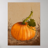pompoen Waterverf kunst Poster (Voorkant)