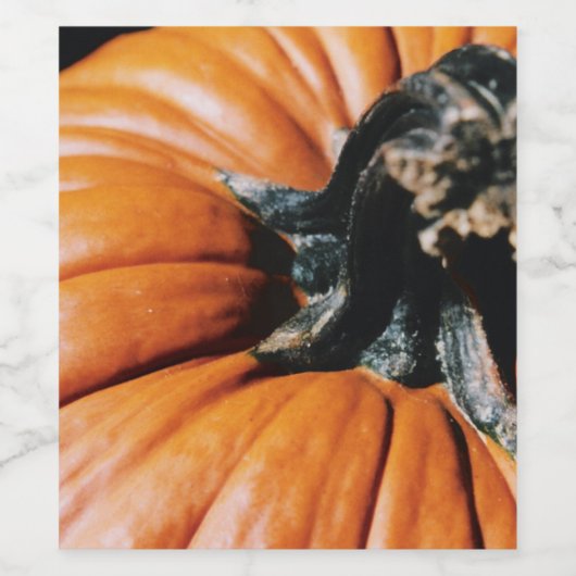 pompoen wijn etiket (Enkel label)