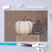 Pompoen Wit Bruin Herfst Rustieke Boerderij Tissuepapier (Craft)