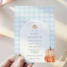 Pompoenblauw Gingham Baby Boy Shower Arch