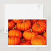Pompoenen Briefkaart (Voorkant / Achterkant)