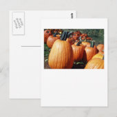 Pompoenen Briefkaart (Voorkant / Achterkant)