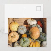Pompoenen Briefkaart (Voorkant / Achterkant)