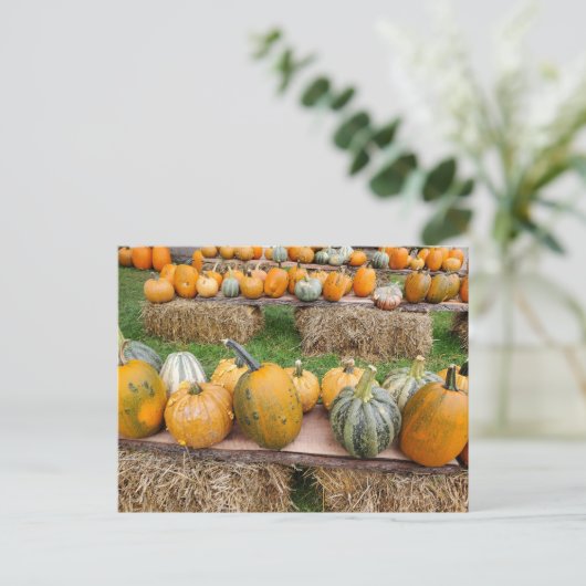 Pompoenen Briefkaart (Staand voorkant)