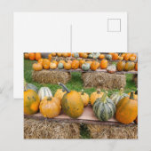 Pompoenen Briefkaart (Voorkant / Achterkant)