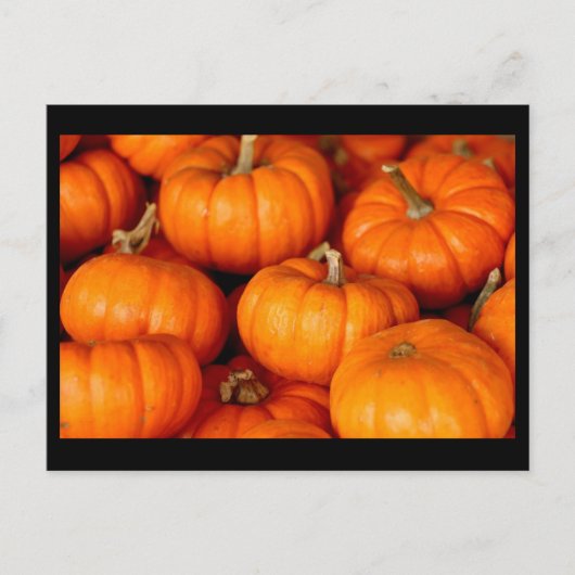 Pompoenen Briefkaart (Voorkant)