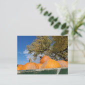 Pompoenen Briefkaart (Staand voorkant)