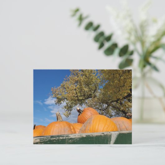 Pompoenen Briefkaart (Staand voorkant)