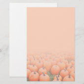 Pompoenen Briefpapier (Voorkant / Achterkant)