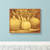 Pompoenen Cornstalks Herfst  Canvas Afdruk (Insitu (Houten vloer))