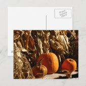 Pompoenen en corn briefkaart (Voorkant / Achterkant)