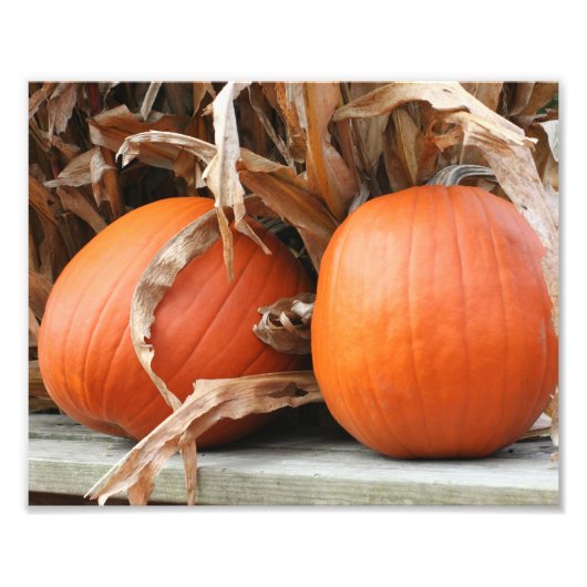 Pompoenen en gedroogde maïsstengels herfst 8x10 foto afdruk (Voorkant)