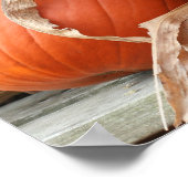 Pompoenen en gedroogde maïsstengels herfst poster (Hoek)