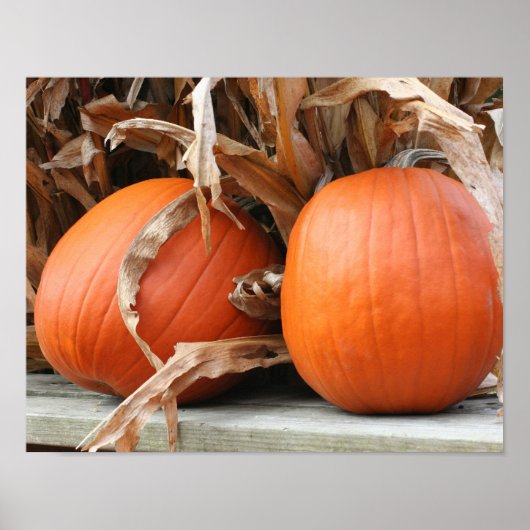 Pompoenen en gedroogde maïsstengels herfst poster (Voorkant)