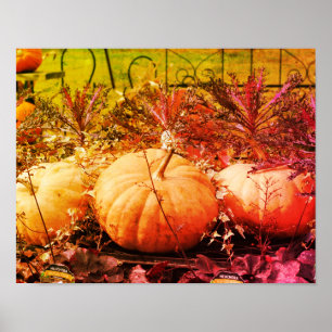 Pompoenen en Herfst Planten distressed kunst Poster