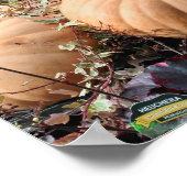 Pompoenen en Herfsten Planten Boerderijen Poster (Hoek)