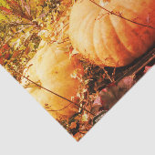 Pompoenen en Herfsten Planten  ontkoppeling Tissuepapier (Detail)