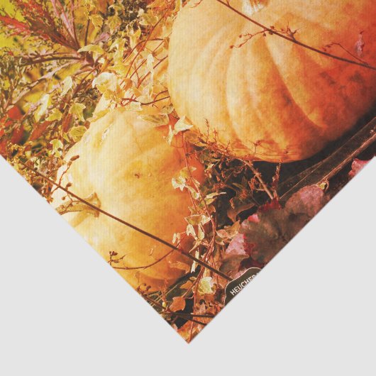 Pompoenen en Herfsten Planten  ontkoppeling Tissuepapier (Detail)