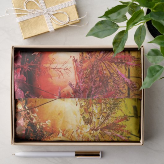 Pompoenen en Herfsten Planten  ontkoppeling Tissuepapier (Geschenk)