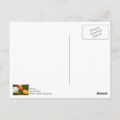 Pompoenen en kalebassen briefkaart (Achterkant)