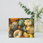 Pompoenen en kalebassen herfstvakantie briefkaart (Staand voorkant)