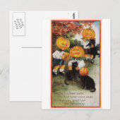 Pompoenen en katten Halloween Briefkaart (Voorkant / Achterkant)