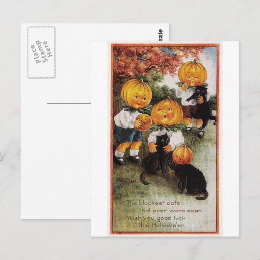 Pompoenen en katten Halloween Briefkaart (Voorkant / Achterkant)