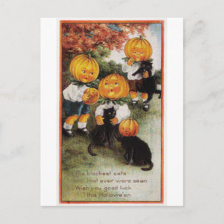 Pompoenen en katten Halloween Briefkaart