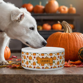 Pompoenen en kleurrijke herfst leren patroon en na voerbakje