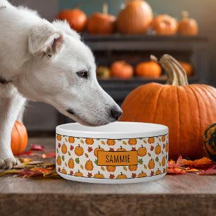 Pompoenen en kleurrijke herfst leren patroon en na voerbakje