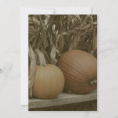 Pompoenen en maïs stengels herfstfeest kaart (Achterkant)