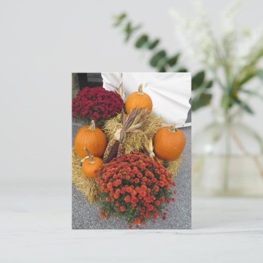 Pompoenen en matrozen briefkaart (Staand voorkant)