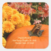 Pompoenen en matrozen/Thanksgivingen enveloppen Vierkante Sticker (Voorkant)