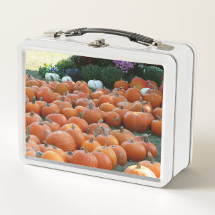 Pompoenen en Mums Herfst Oogst Fotografie
