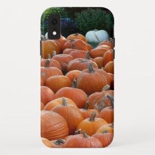 Pompoenen en Mums Herfst Oogst Fotografie Case-Mate iPhone Case
