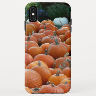 Pompoenen en Mums Herfst Oogst Fotografie Case-Mate iPhone Case